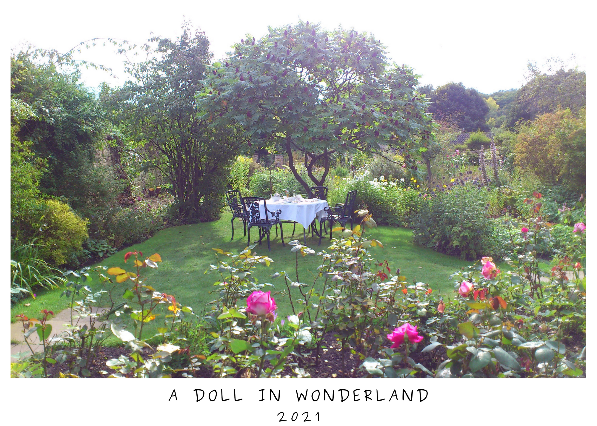 Doll In Wonderland