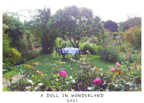 Doll In Wonderland